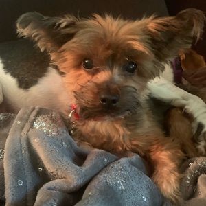 Meet your Posher, Stacie